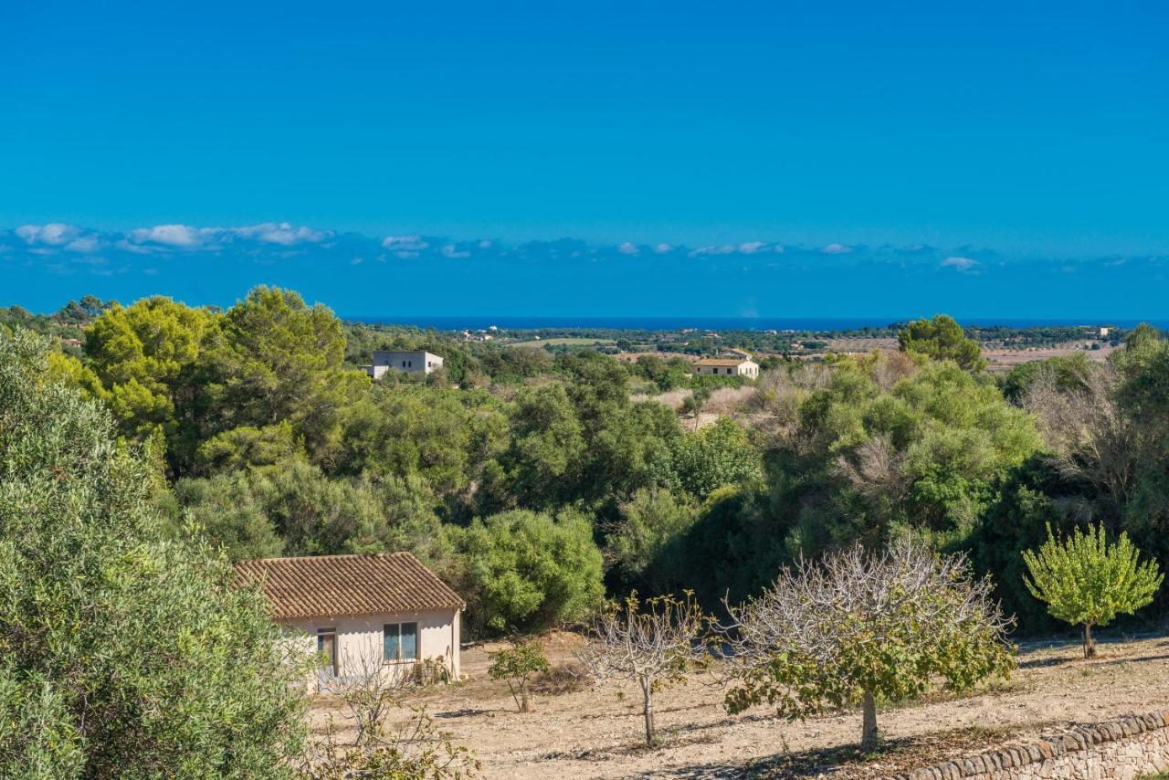 Finca Son Colom Manacor  Exteriör bild